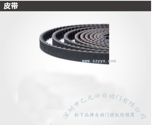 风暴娱乐重型自动门-皮带电机组.jpg